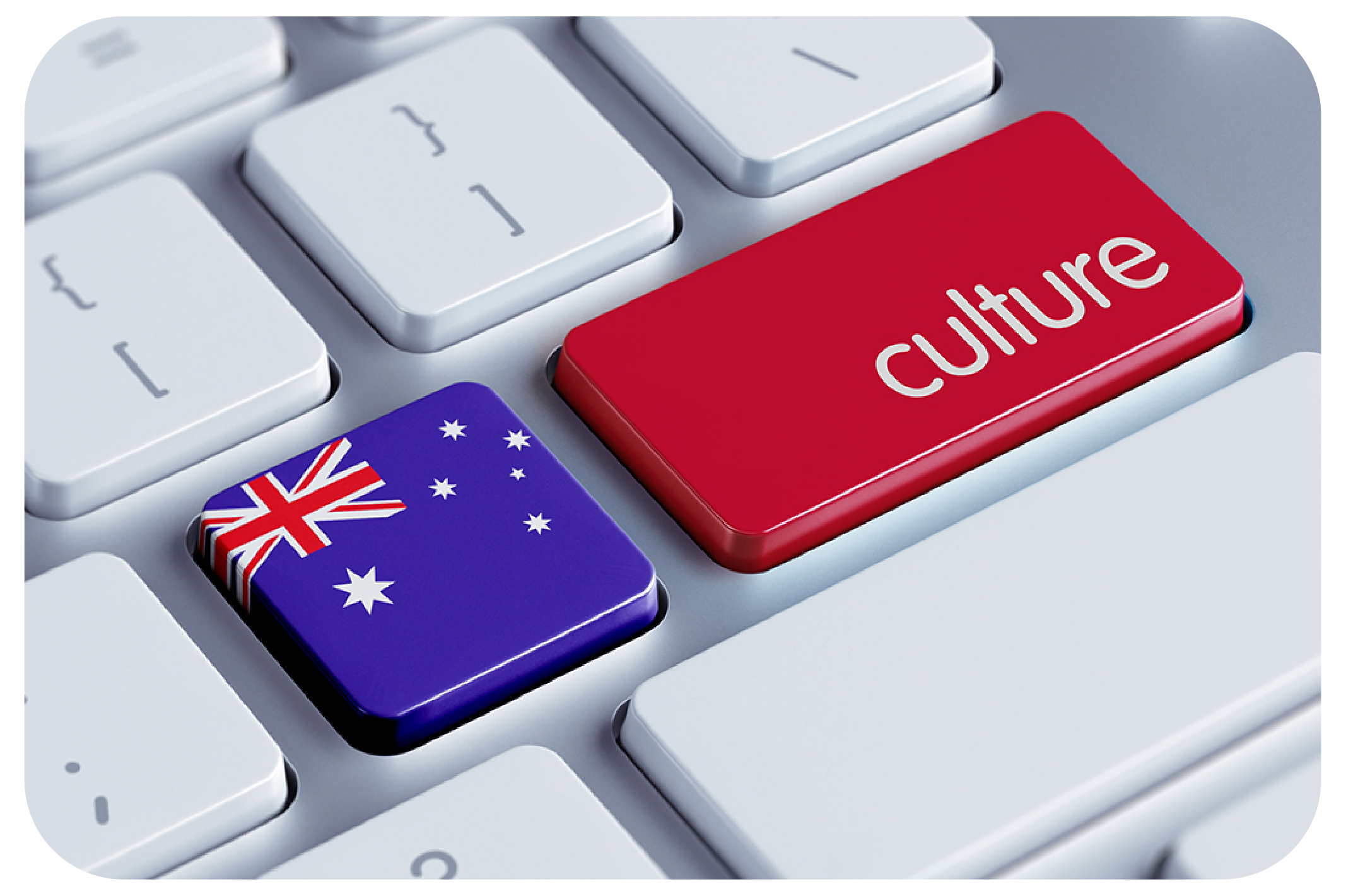 Multicultural Society